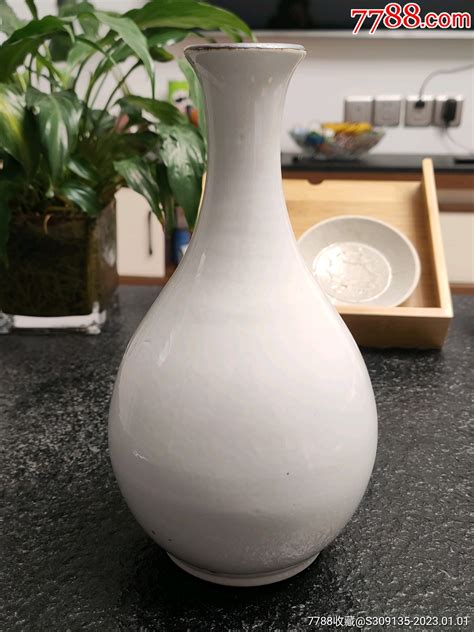 食痣 瓷器花瓶